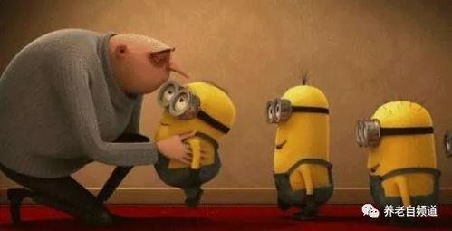 猴哥亲戚爆料视频大全集,揭秘猴哥家族传奇故事大全  第3张